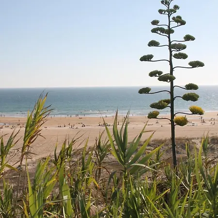 Dali Al Mar